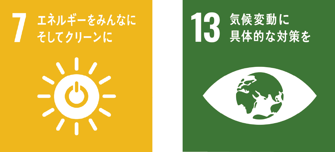 SUSTAINABLE DEVELOPMENT GOALS