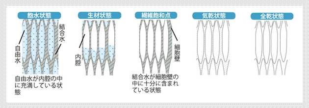 木のパワーと木材