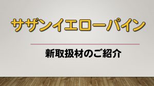 ツーバイ材 東京木材相互市場 ツーバイ材 東京木材相互市場
